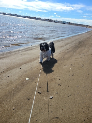 On the beach - 2-bedroom Waterfront paradise (Richibucto)