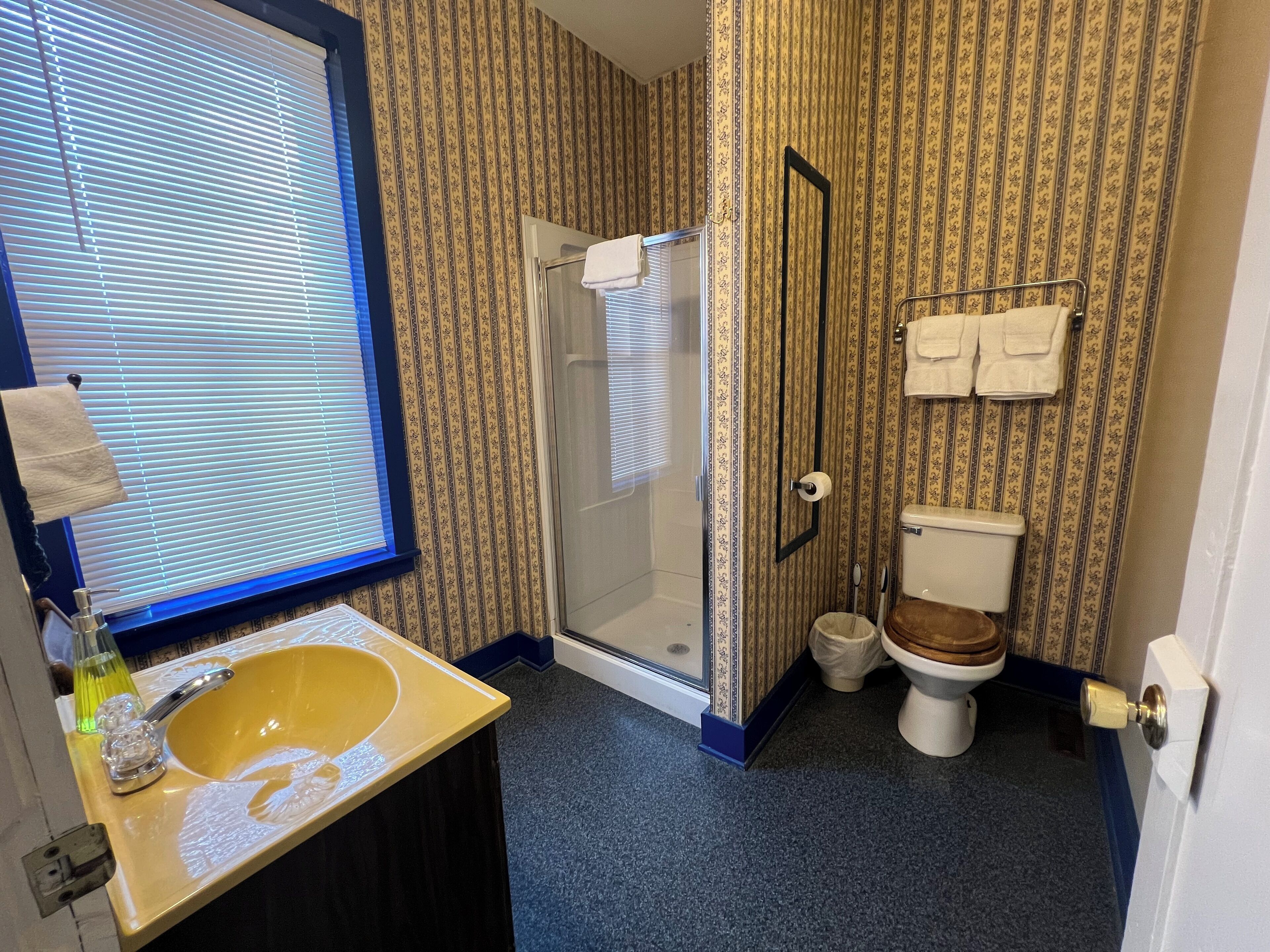 Shower, towels, soap, toilet paper