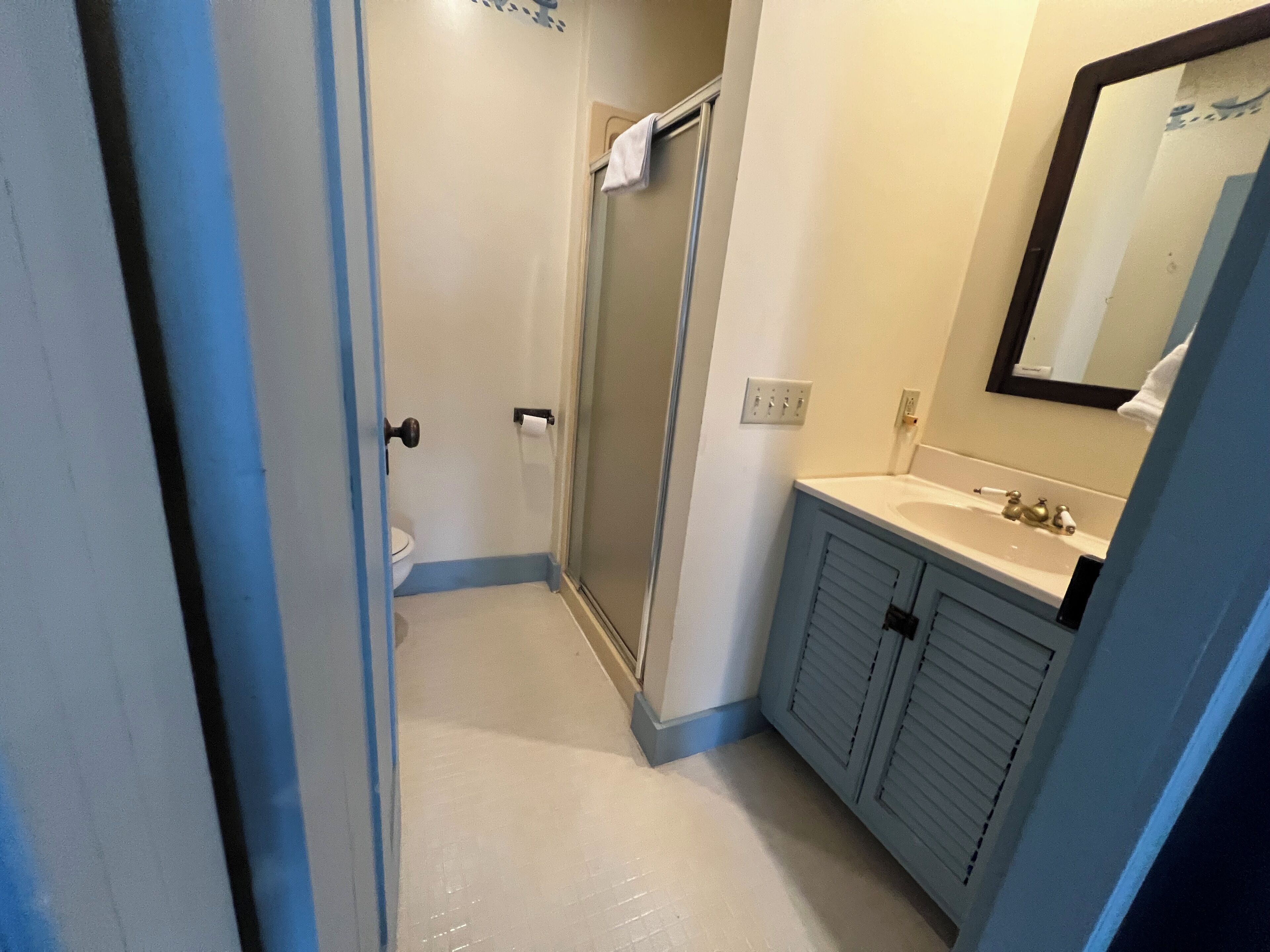 Shower, towels, soap, toilet paper