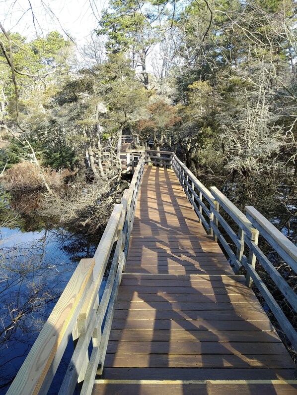 A wooden boardwalk through a wooded area with a water body on one side. - The Perfect Getaway in Wellfleet (Wellfleet)