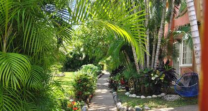 House in Ixtapa, Zihuatanejo, your vacation with sun, sea and sand, in a safe place.