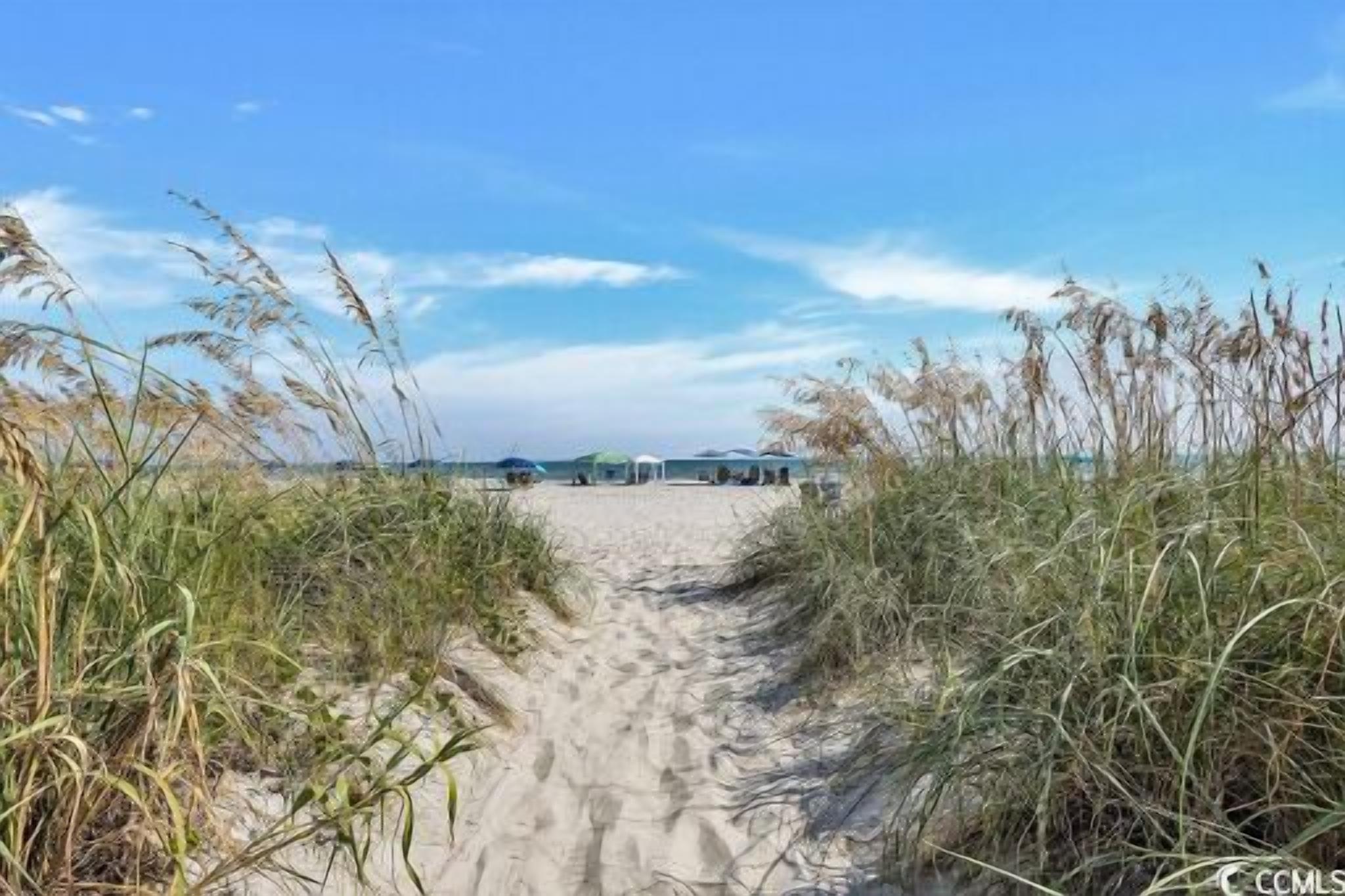 Un sentier de sable bordé d’herbes hautes, qui mène à des parasols de plage, avec un ciel bleu et dégagé au-dessus.