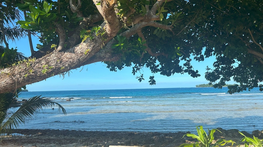 Garden Reef Bungalows