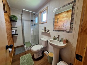 Hair dryer, towels, soap, toilet paper