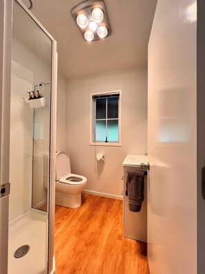 Shower, eco-friendly toiletries, hair dryer, towels
