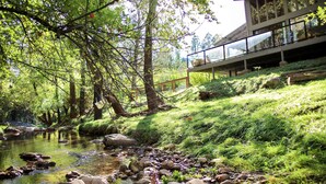 Blick auf einen Fluss mit einer Holzterrasse, üppiger Vegetation und einem modernen Gebäude mit großen Fenstern.