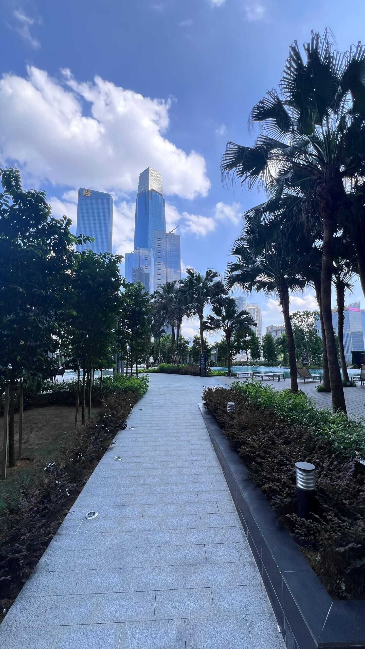 A pathway lined with palm trees and bushes, leading towards modern high-rise buildings.