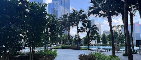 A pathway lined with palm trees and bushes, leading towards modern high-rise buildings.