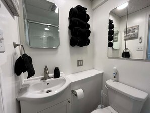 Shower, hair dryer, towels, soap - Private 1st Floor Unit near Balt City/John Hopkin (Baltimore)