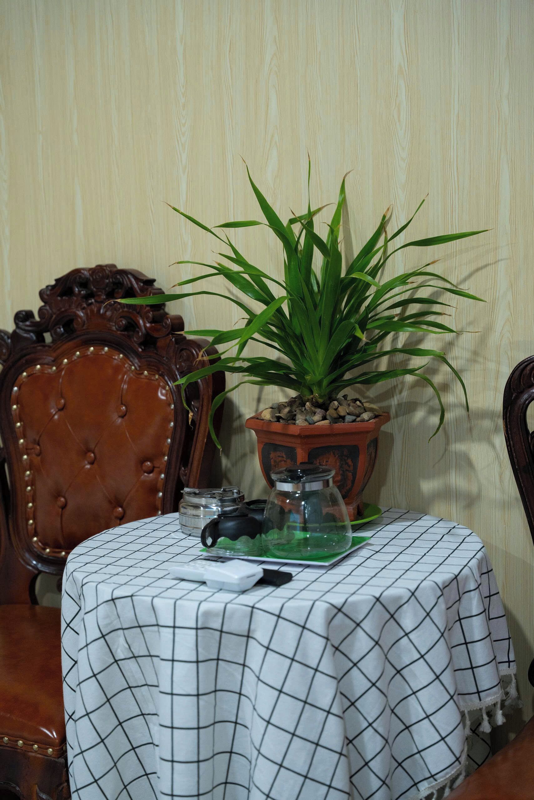 Family Studio | Living area