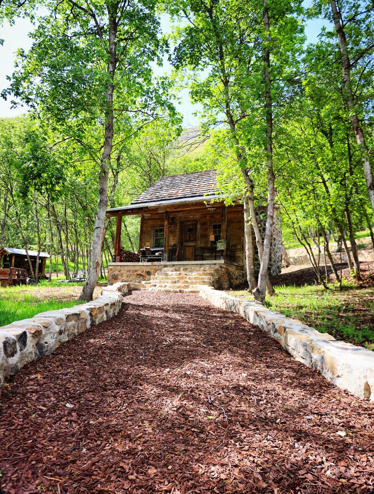 Imagen de perfil del propietario o de la propietaria