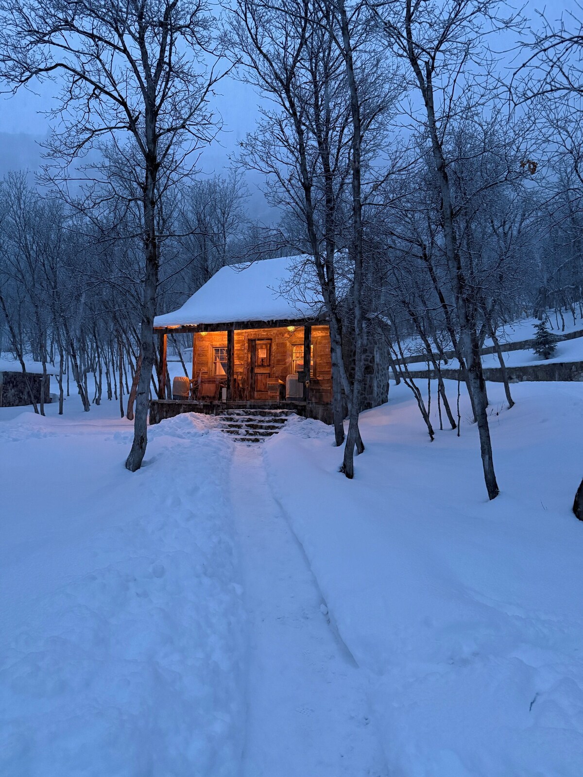 Bild für Gastgeberprofil