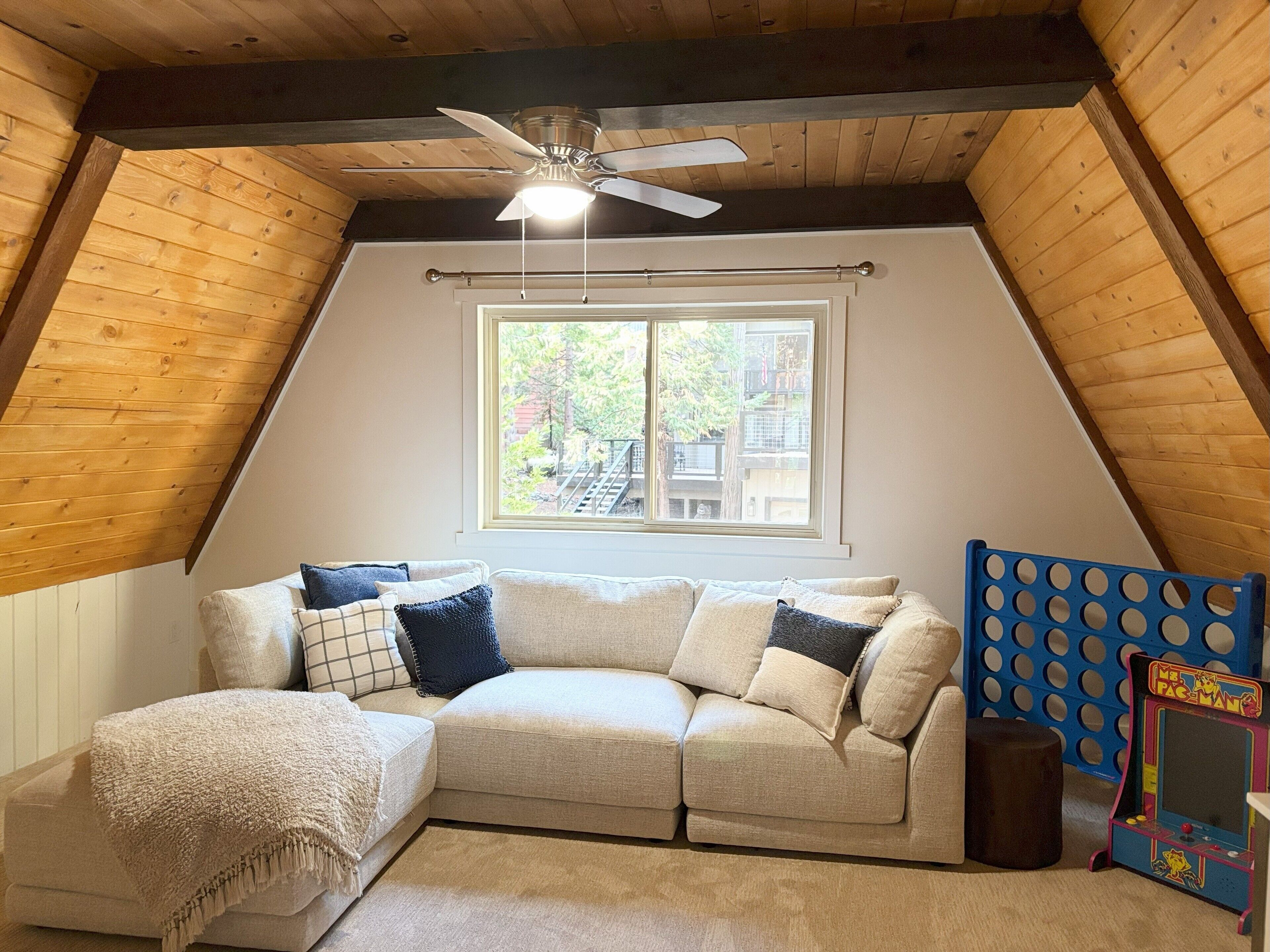 Smart TV, fireplace, books