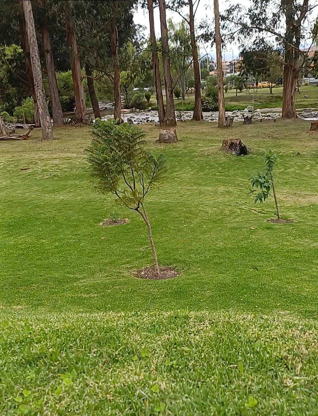 Área da propriedade