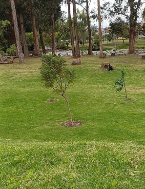 Property grounds - 10 minutes from downtown! Comfortable apartment for families or friends (CUENCA)