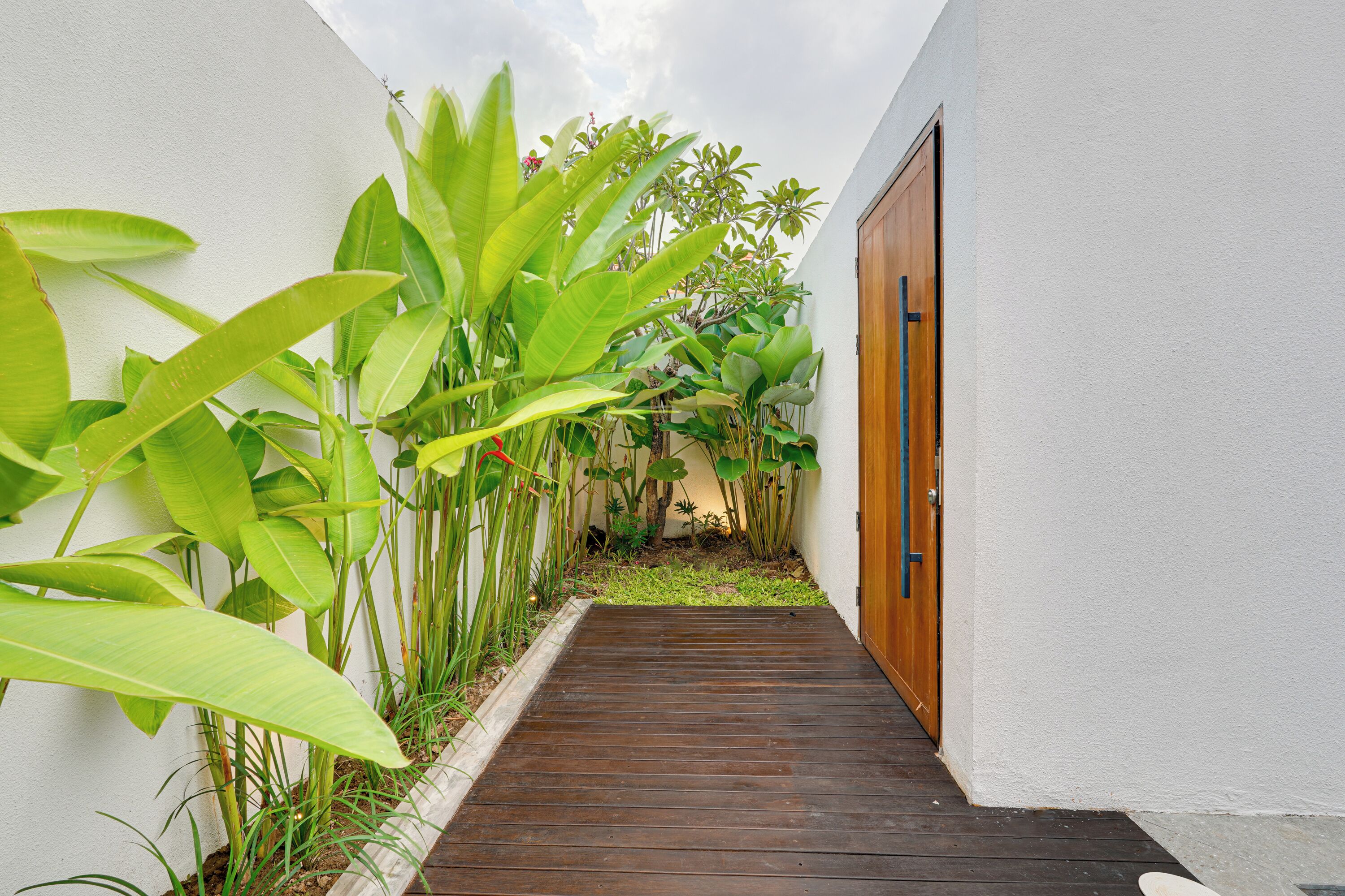 Garden view