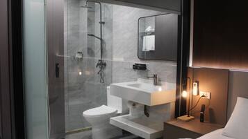 Shower, hair dryer, bidet