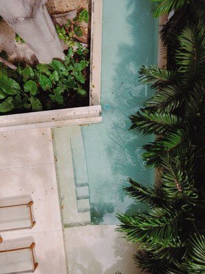 Outdoor pool - Casa Querida — A Private Oasis in the Heart of Mérida (Mérida)