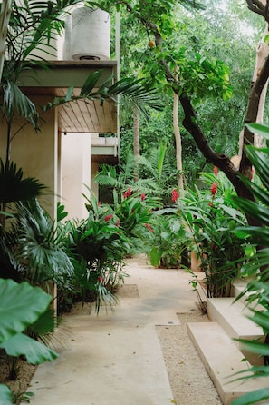 A pathway leading to a building surrounded by lush greenery and tropical plants. - Casa Querida — A Private Oasis in the Heart of Mérida (Mérida)