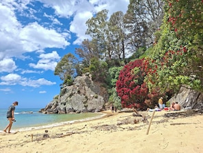 Playa