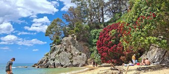 Stunning Beach & Forest 360 Views - close to the beach and mountain bike park!