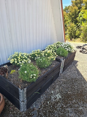 Property grounds - Stunning Beach & Forest 360 Views - close to the beach and mountain bike park! (Kaiteriteri)