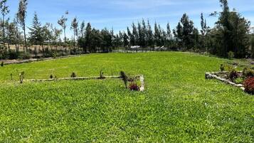 Taman