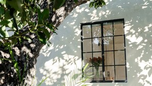 A window with a grid pattern, a tree with green leaves, and a wall with a reflection of flowers. - Private 2BR Duplex  Parking, W/D, Near Studios (Los Angeles)