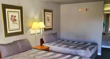 Room 115 - 2 Double Beds