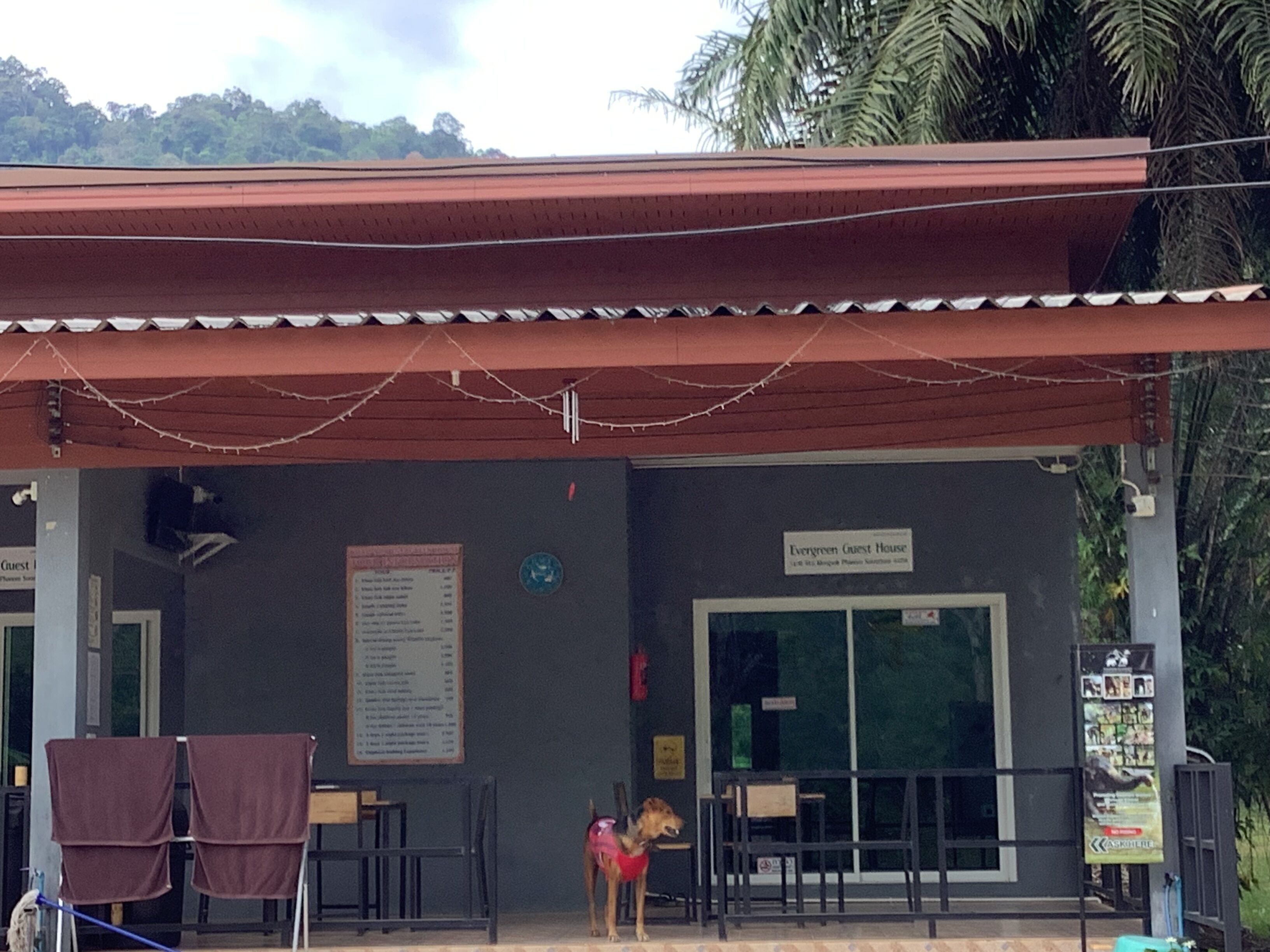 Khu ẩm thực ngoài trời