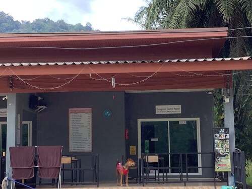 Evergreen Guesthouse