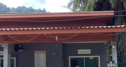 Evergreen Guesthouse