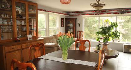 Gorgeous 4-bedroom house in peaceful Ocean Park perfect for families