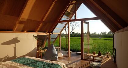 Designer Bamboo A-Frame Hut Amidst Ubud Rice Fields