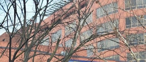 外觀