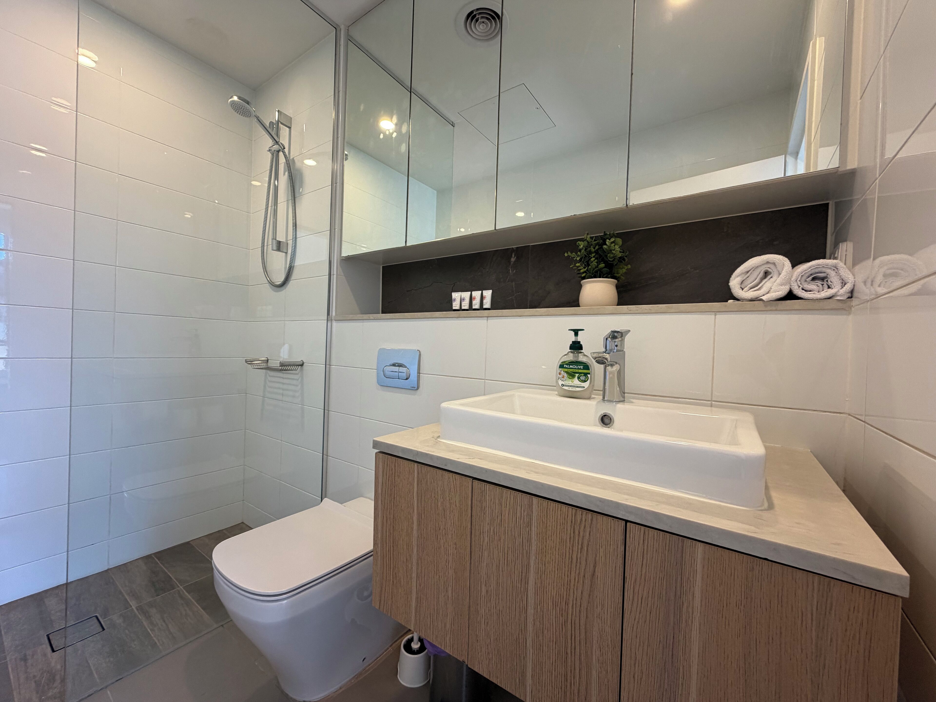 Shower, hair dryer, towels, soap