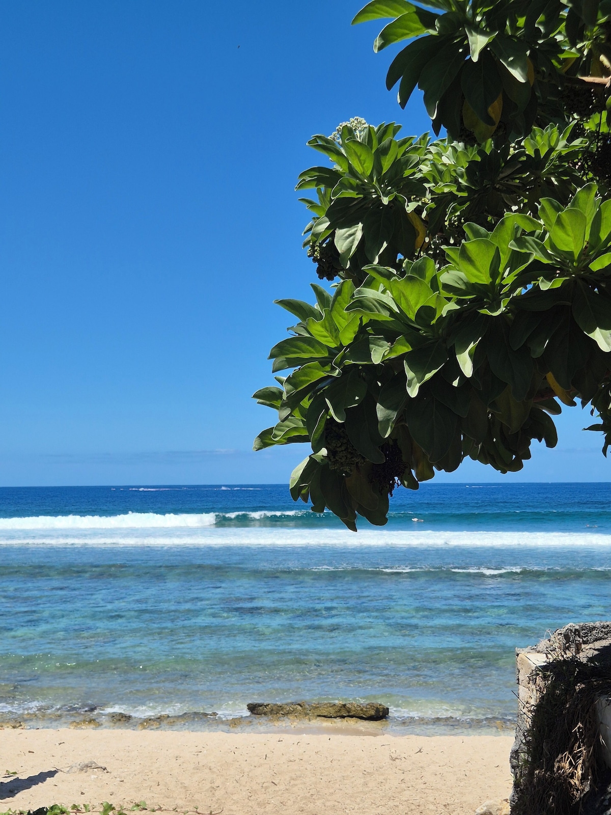 オーナーのプロフィール画像