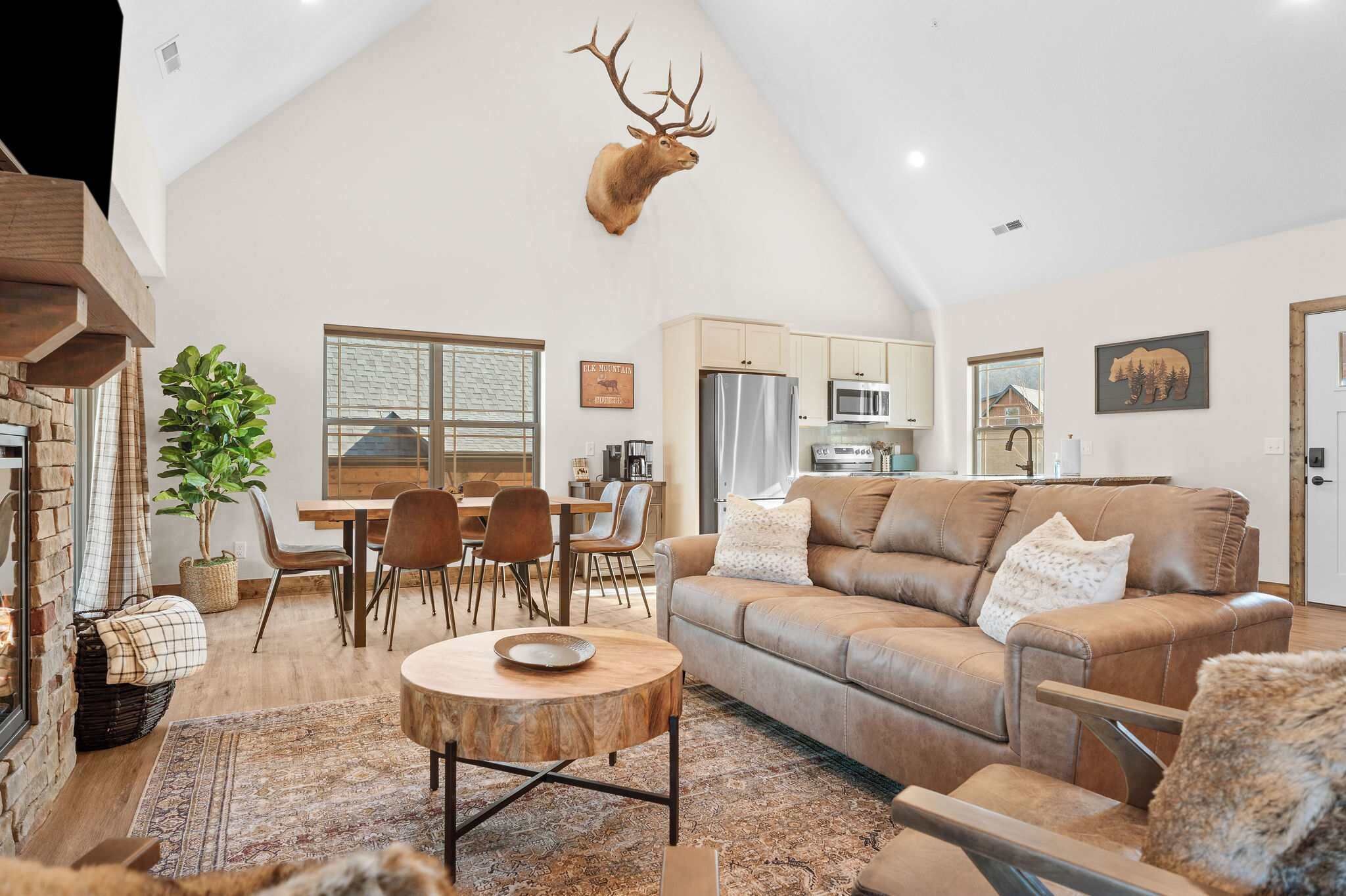 Télévision, cheminée, espaces bureaux