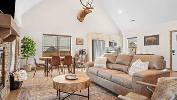 Télévision, cheminée, espaces bureaux