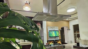 Una cocina moderna con una campana extractora de acero inoxidable, un televisor de pantalla plana montado en la pared y una planta decorativa en primer plano.
