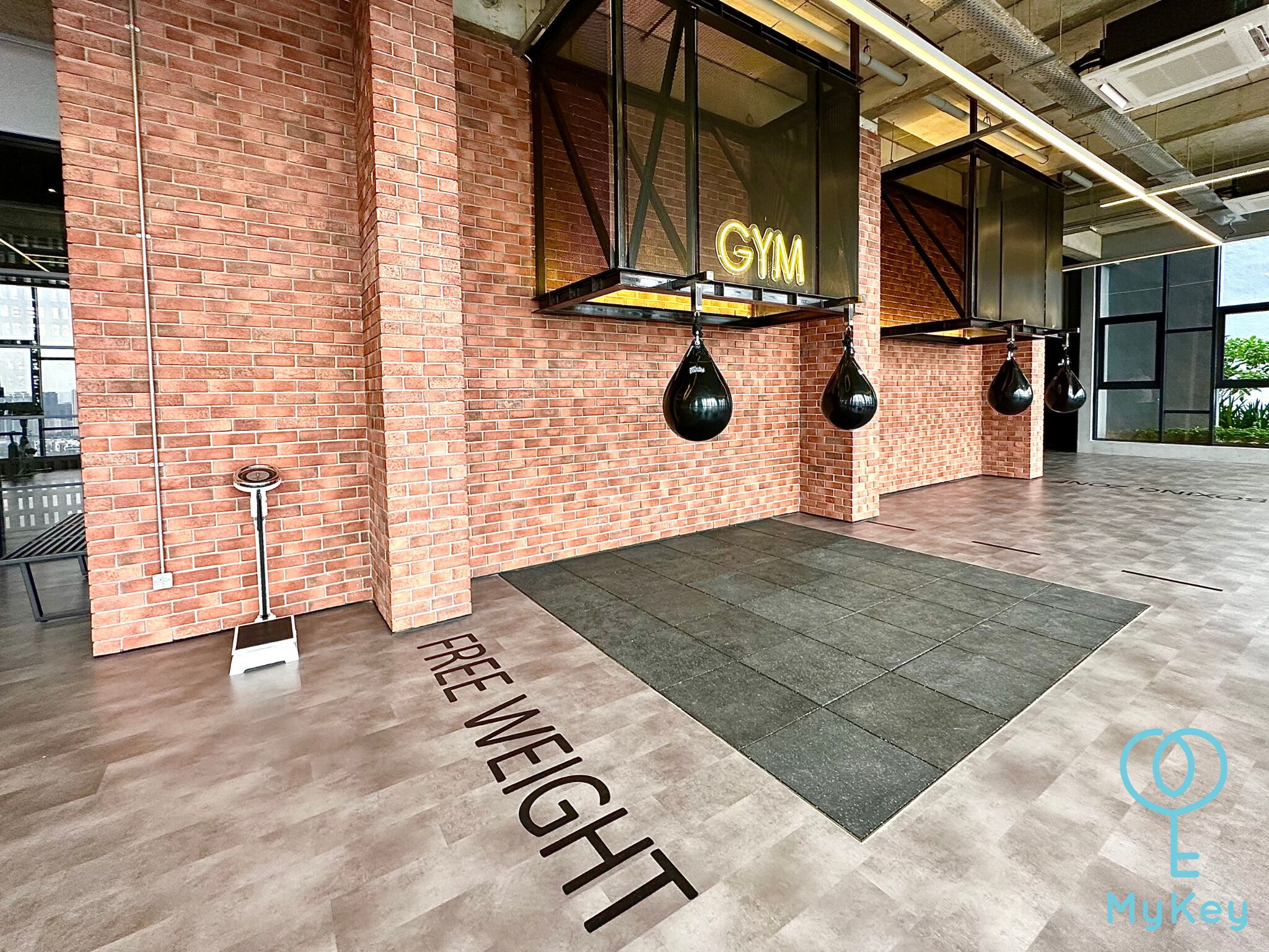 Gimnasio