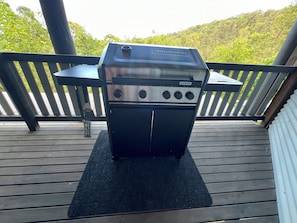 Terrace/patio - Luxview Lodge - mountain stay, spectacular views (Mudgeeraba)