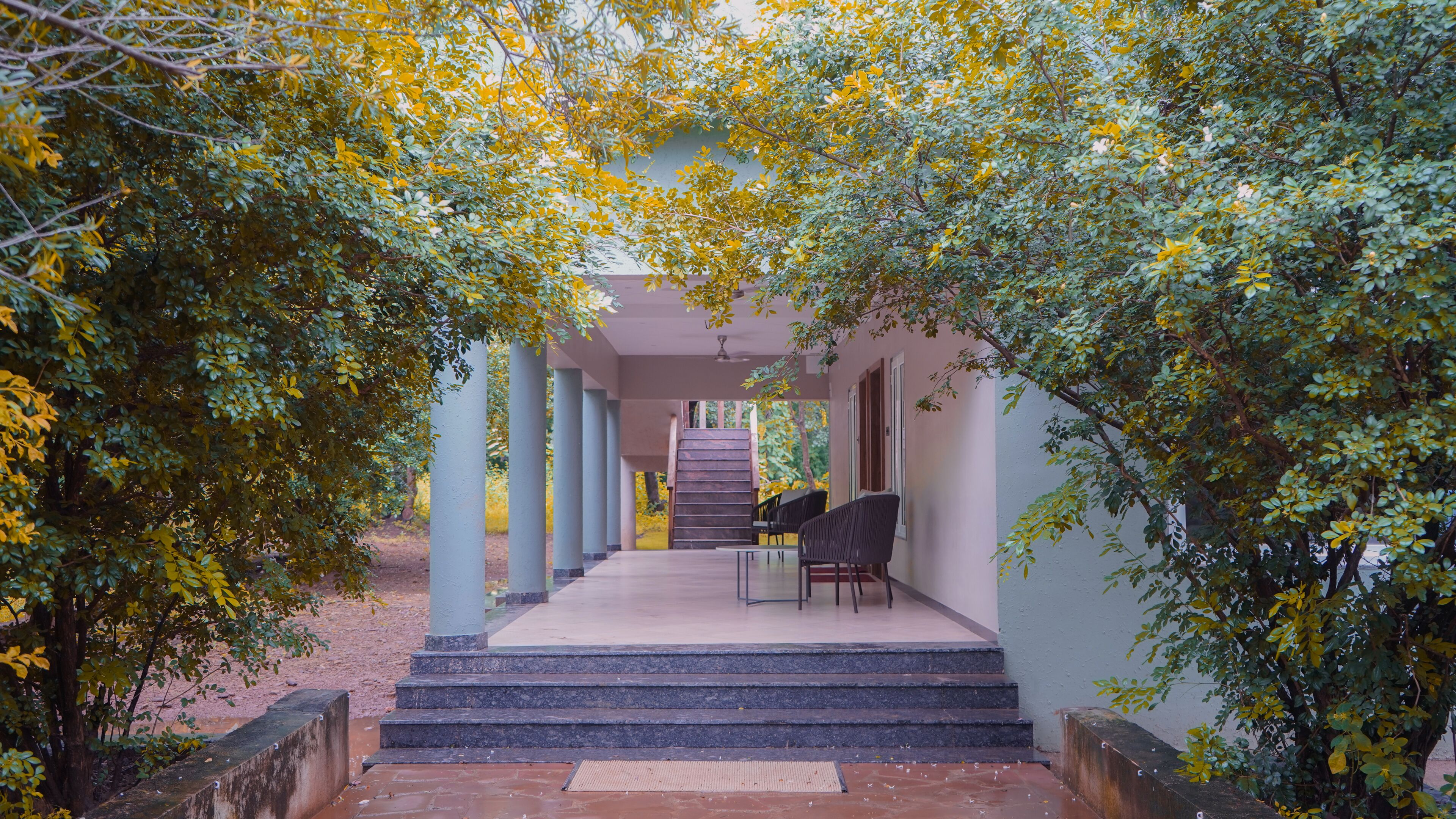 Cottage, Garden View