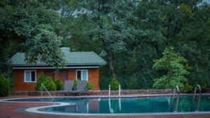 Outdoor pool - Syna Jungle Resort - Shahdar (Katni)