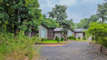 A residential area with two houses, a gravel driveway, and surrounding greenery.