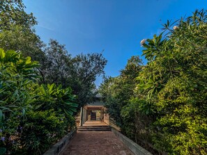 A pathway leading to a structure surrounded by lush greenery. - Syna Jungle Resort - Shahdar (Dhimarkhera)