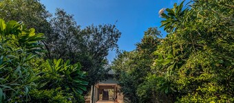 Syna Jungle Resort - Shahdar