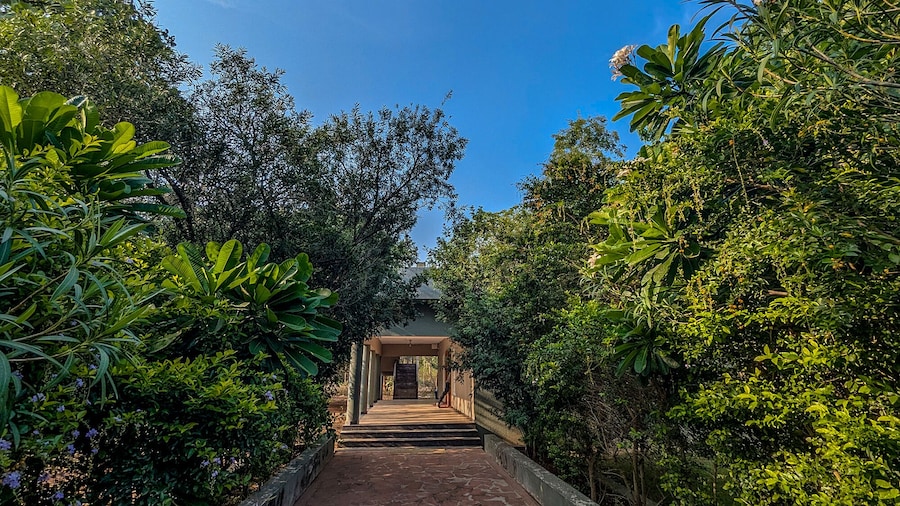 Syna Jungle Resort - Shahdar