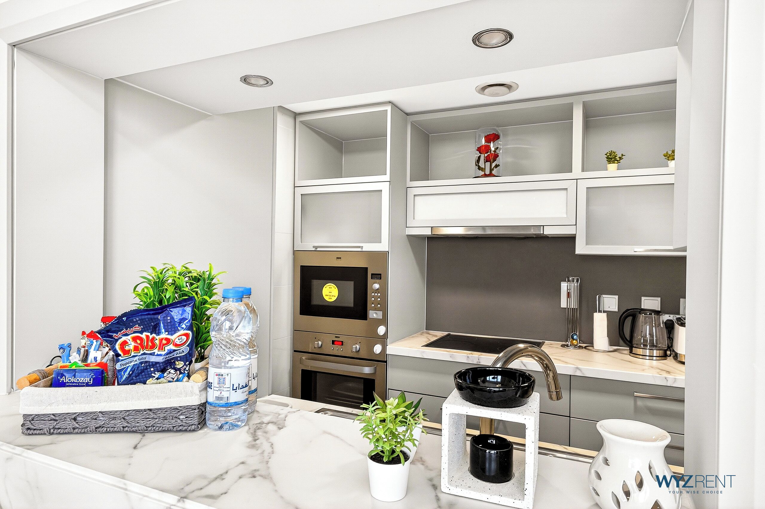 A modern kitchen with built-in appliances, a marble countertop, and a potted plant.