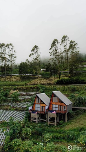 Front of property - Padangsari Cabin House (Dieng Kulon)